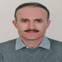دکتر محمدرضا استادعلی دهقی