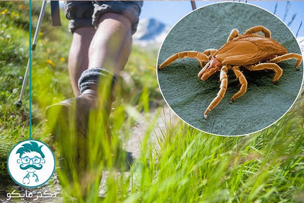 عامل بیماری لایم چیست؟ آیا واگیر دار است؟