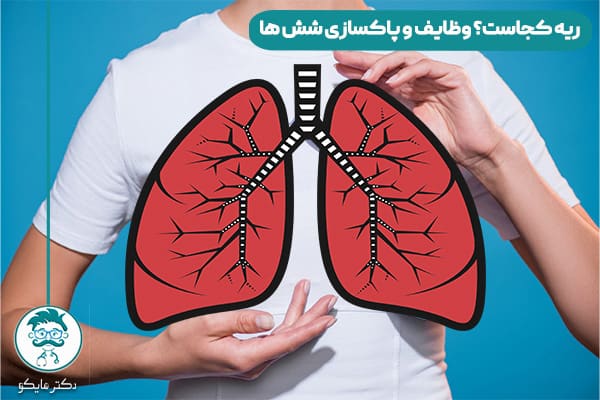 ریه انسان چیست؟