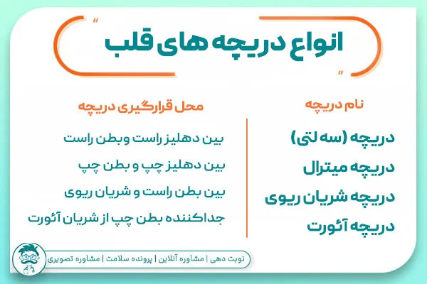 انواع دریچه های قلب انسان