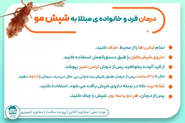 چگونه می توان شپش سر را درمان کرد؟