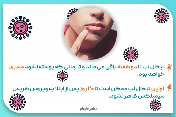 تبخال لب چقدر طول می کشد؟