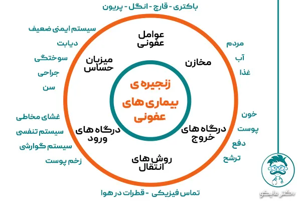 چرخه ی بیماری های عفونی