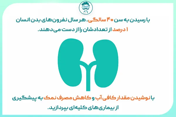 کلیه سالم چند درصد کار می‌کند؟