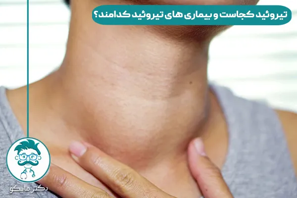 غده تیروئید چیست
