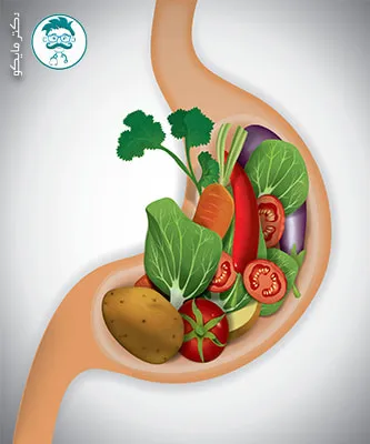 7 نکته ی طلایی برای داشتن معده سالم