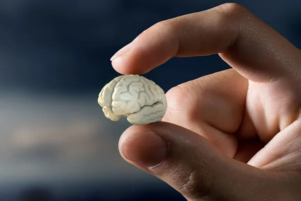 آتروفی مغزی چیست؟ علت و عوارض کوچک شدن مغز و مرگ!
