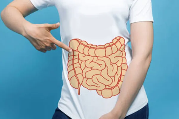 روده کجاست؟ آناتومی روده انسان و حفظ سلامت روده کوچک و بزرگ