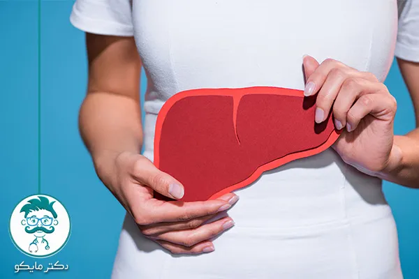 کبد انسان چگونه کار می‌کند؟