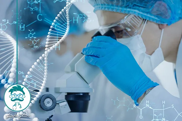 نست ژنتیک کروموزومی