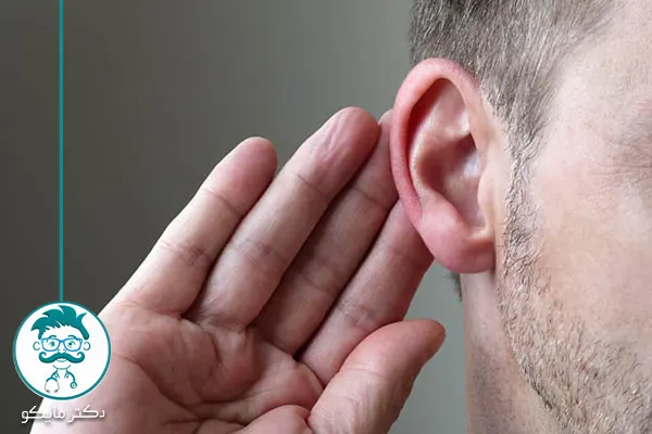 وظایف گوش چیست؟