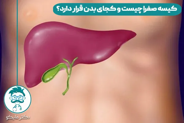 کیسه صفرا چیست