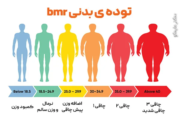 توده ی بدنی bmr