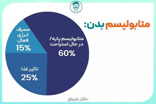 کاهش متابولیسم بدن
