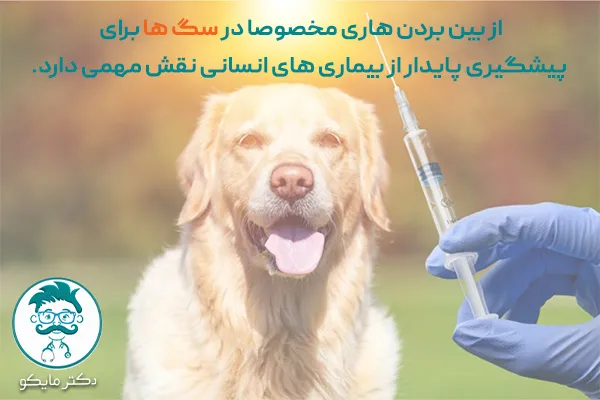 درمان هاری در انسان