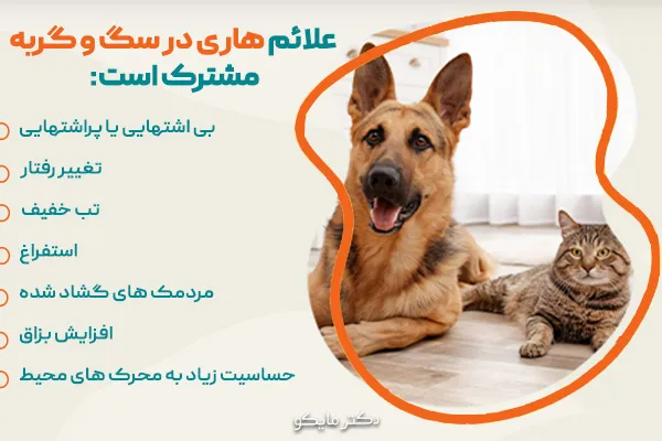 علائم هاری در سگ و گربه