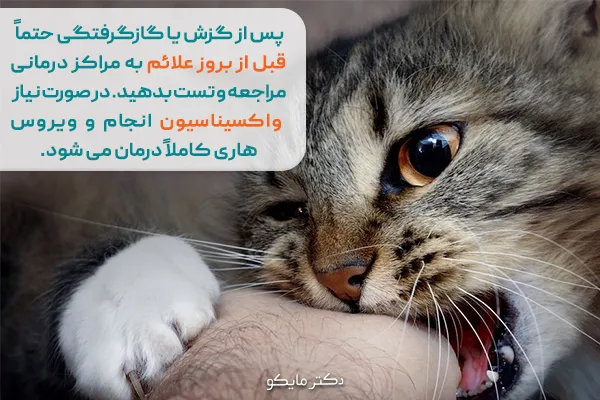 آیا هاری درمان دارد؟