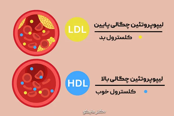 تفاوت کلسترول خوب و بد