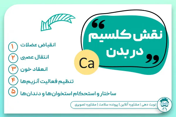 نقش کلسیم در بدن