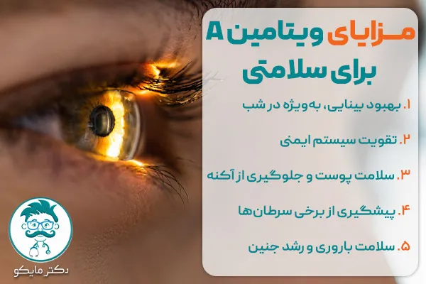 ویتامین a در بارداری 