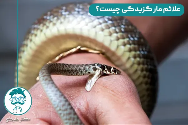 مار گزیدگی چیست؟ 