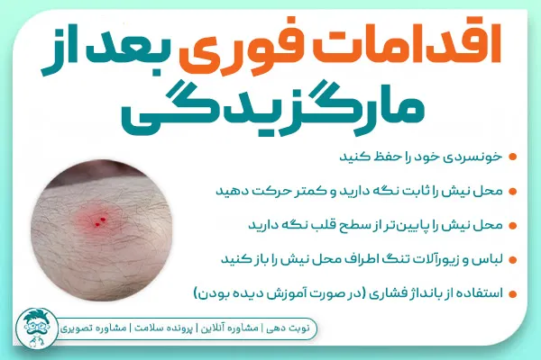 اقدامات اولیه بعد مارگزیدگی