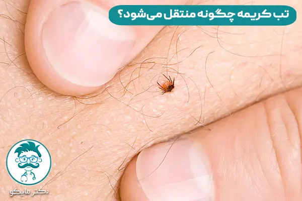 تب کریمه کنگو چیست و چگونه منتقل می شود؟