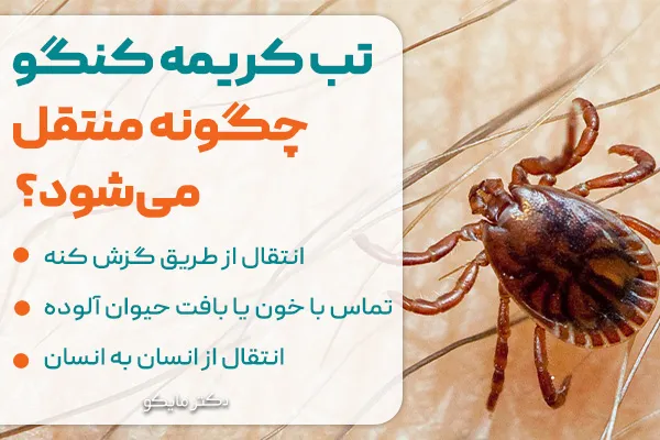  تب کریمه کنگو چگونه منتقل می‌شود؟