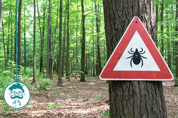 روش‌های پیشگیری از تب کریمه کنگو