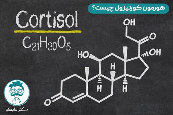 هورمون کورتیزول در بدن چیست؟ 