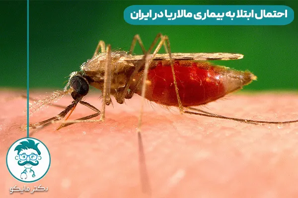 بیماری مالاریا

