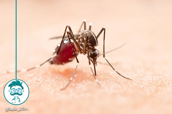 پشه مالاریا در ایران