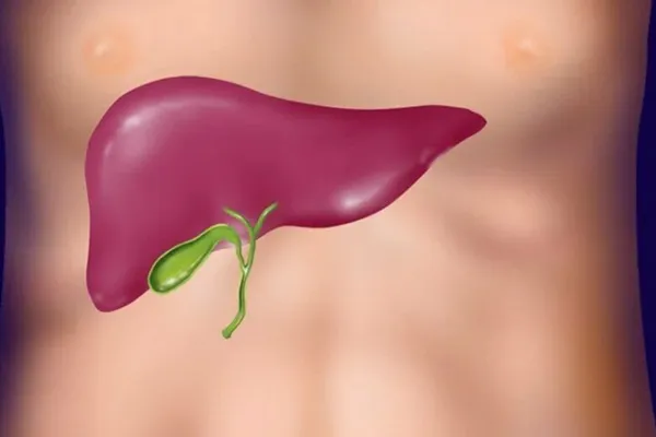 وظیفه کیسه صفرا چیست و کجای بدن قرار دارد؟