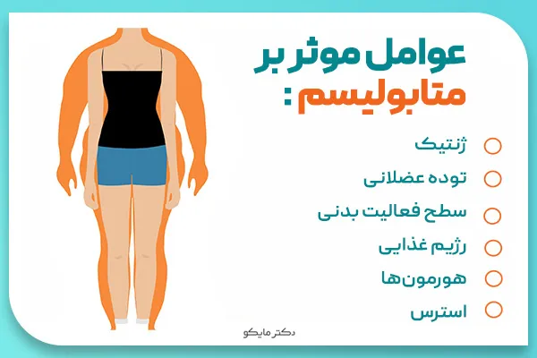 عوامل موثر بر متابولیسم بدن