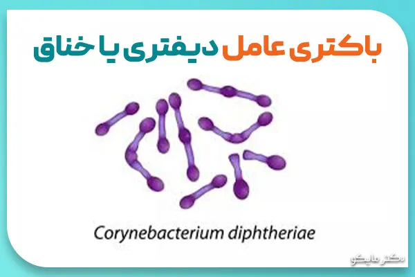 عامل دیفتری یا علت خناق