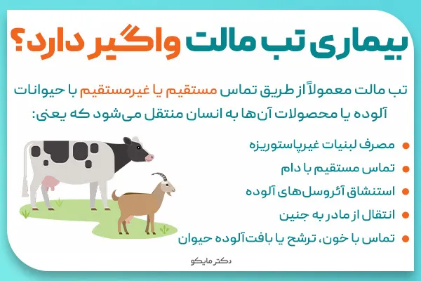 آیا بیماری تب مالت واگیر دارد؟