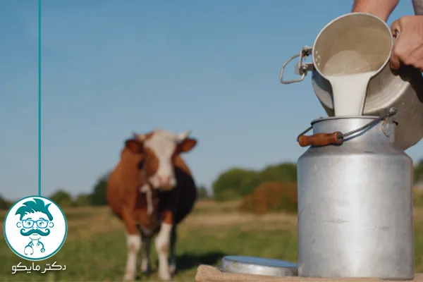 دارو بیماری تب مالت چیست؟