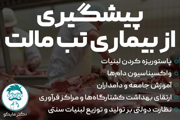 پیشگیری از بیماری تب مالت