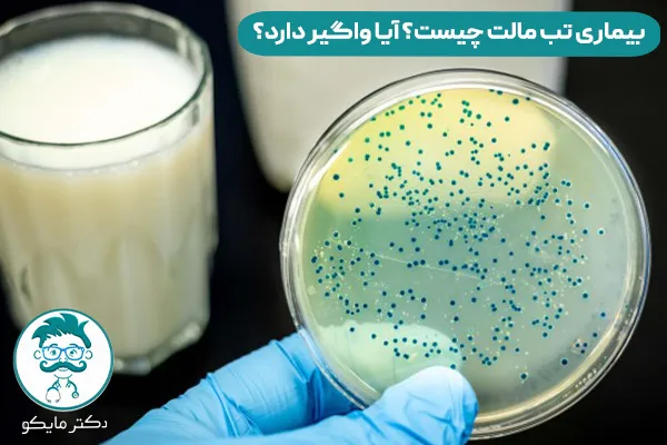 بیماری تب مالت چیست؟